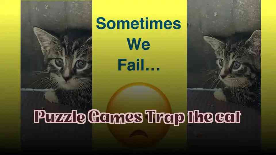 Puzzle Games Trap the cat