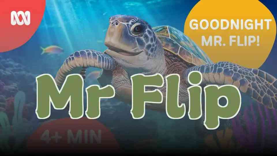 Mr Flip