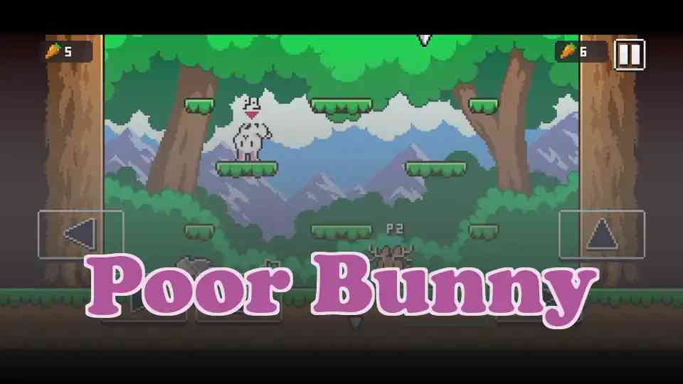 Poor Bunny