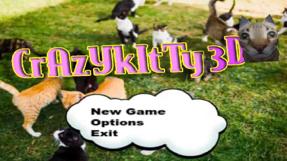 Crazy Kitty 3D