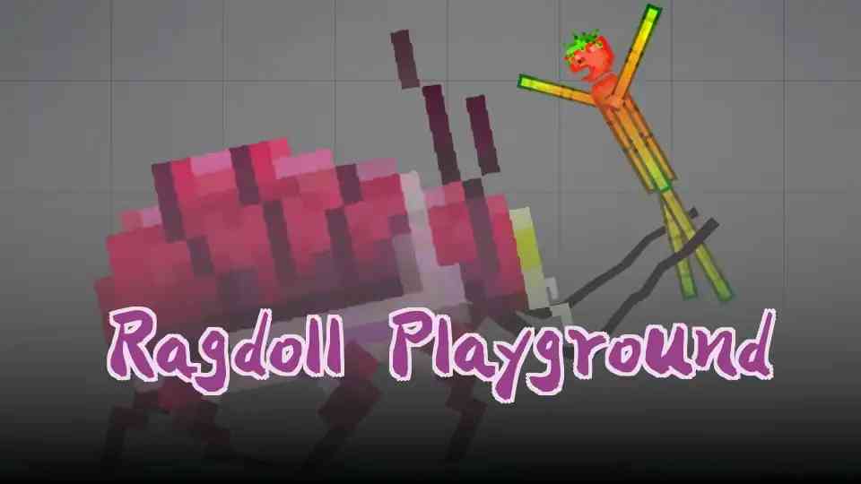 Ragdoll Playground