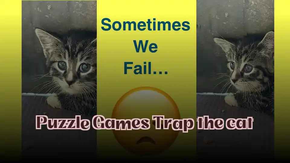 Puzzle Games Trap the cat