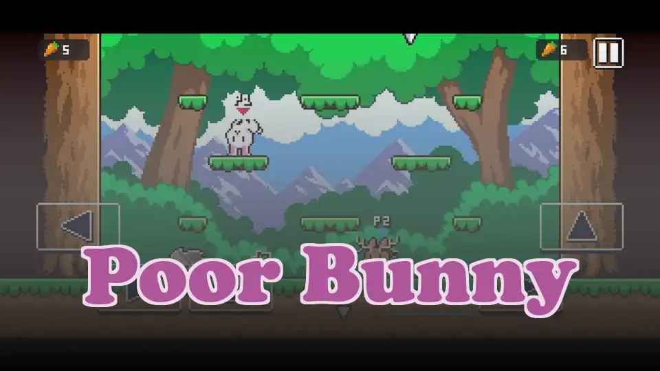 Poor Bunny