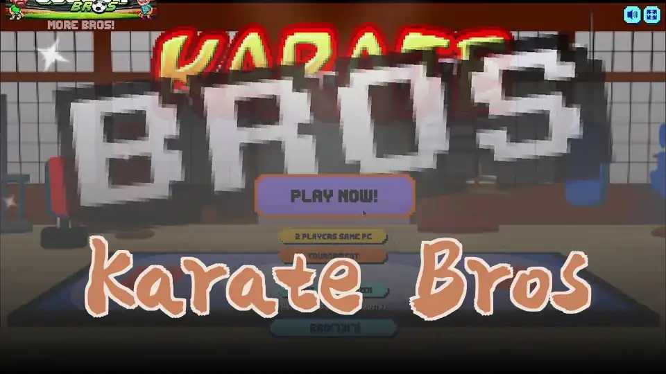 Karate Bros