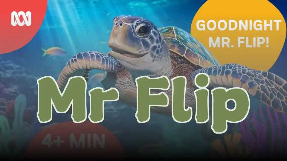 Mr Flip