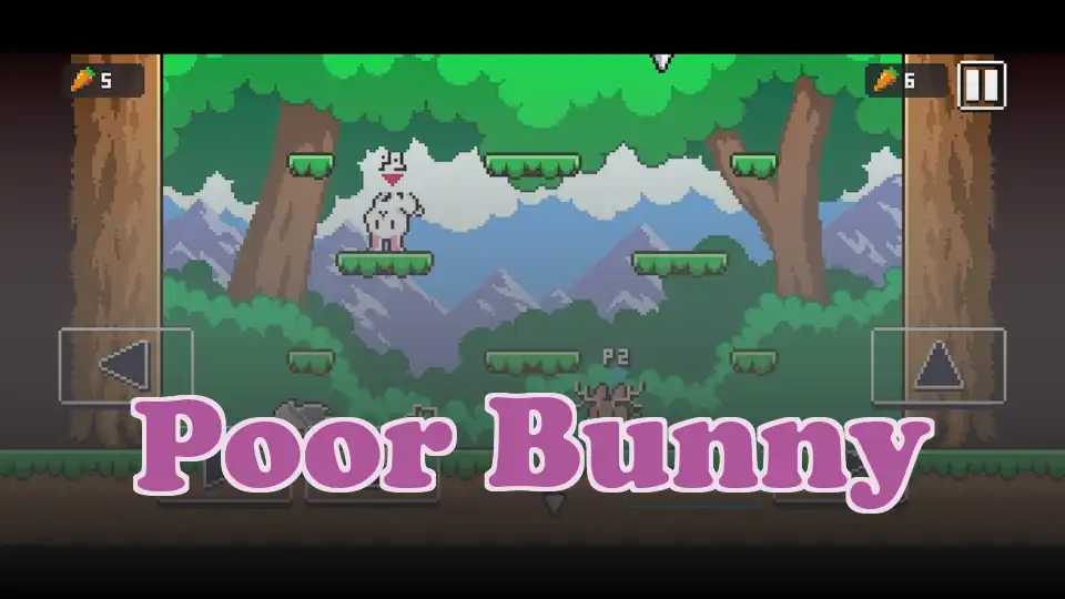 Poor Bunny