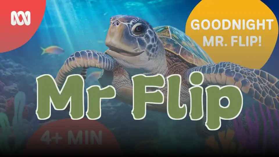Mr Flip